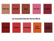 Kit Les Essentiels Bouches  - comprend 10 teintes